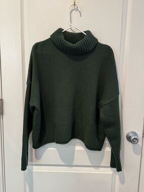 Madewell Forest Green Ribbed Turtleneck Sweater